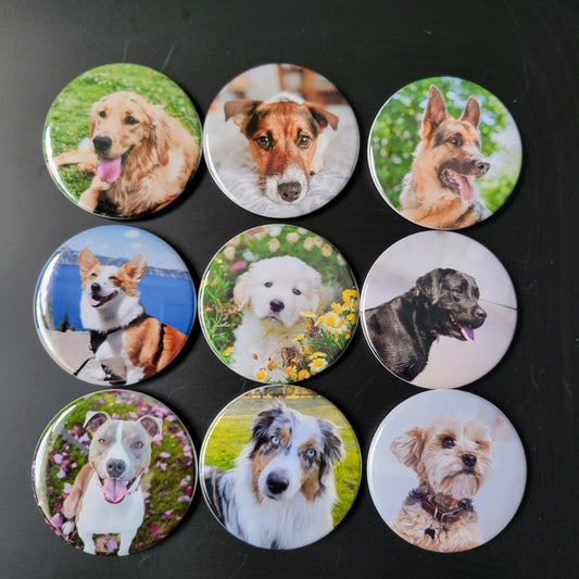 Set of 9 - 2.25" Round Photo Magnets