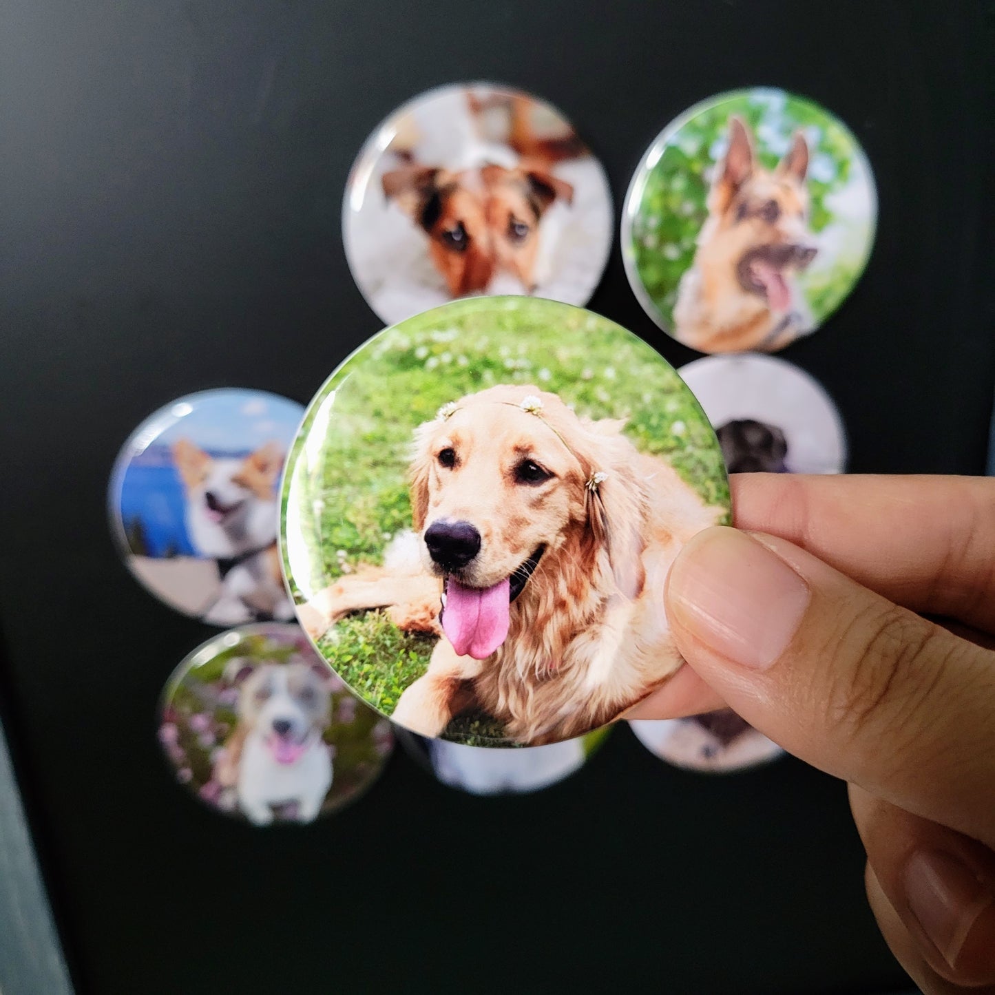 Set of 9 - 2.25" Round Photo Magnets